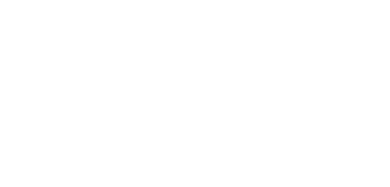 DST_logo NEW2024 white