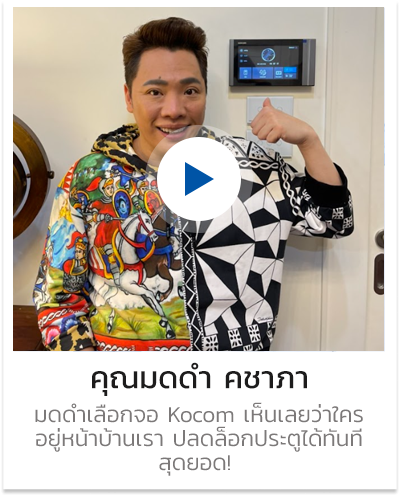 มดดำ